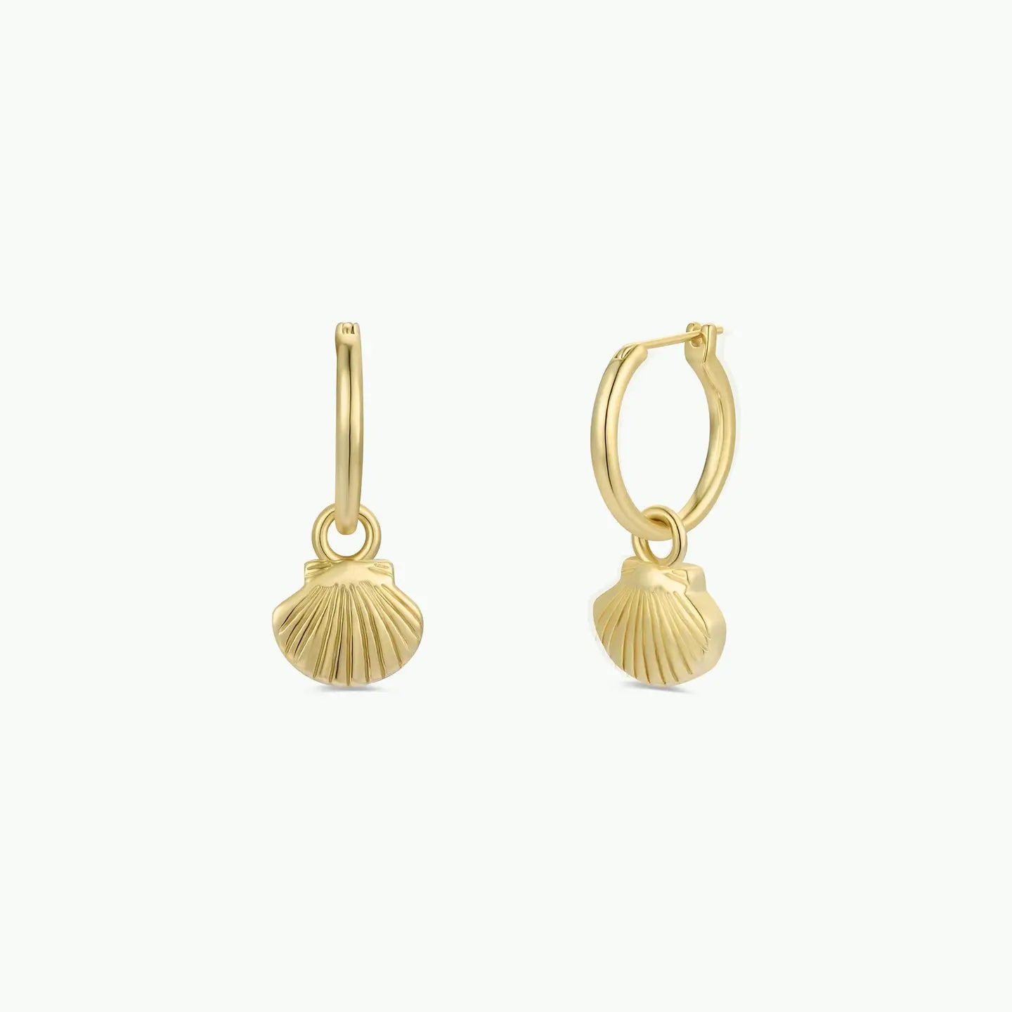 JaxKelly | Seashell Hoop Earrings