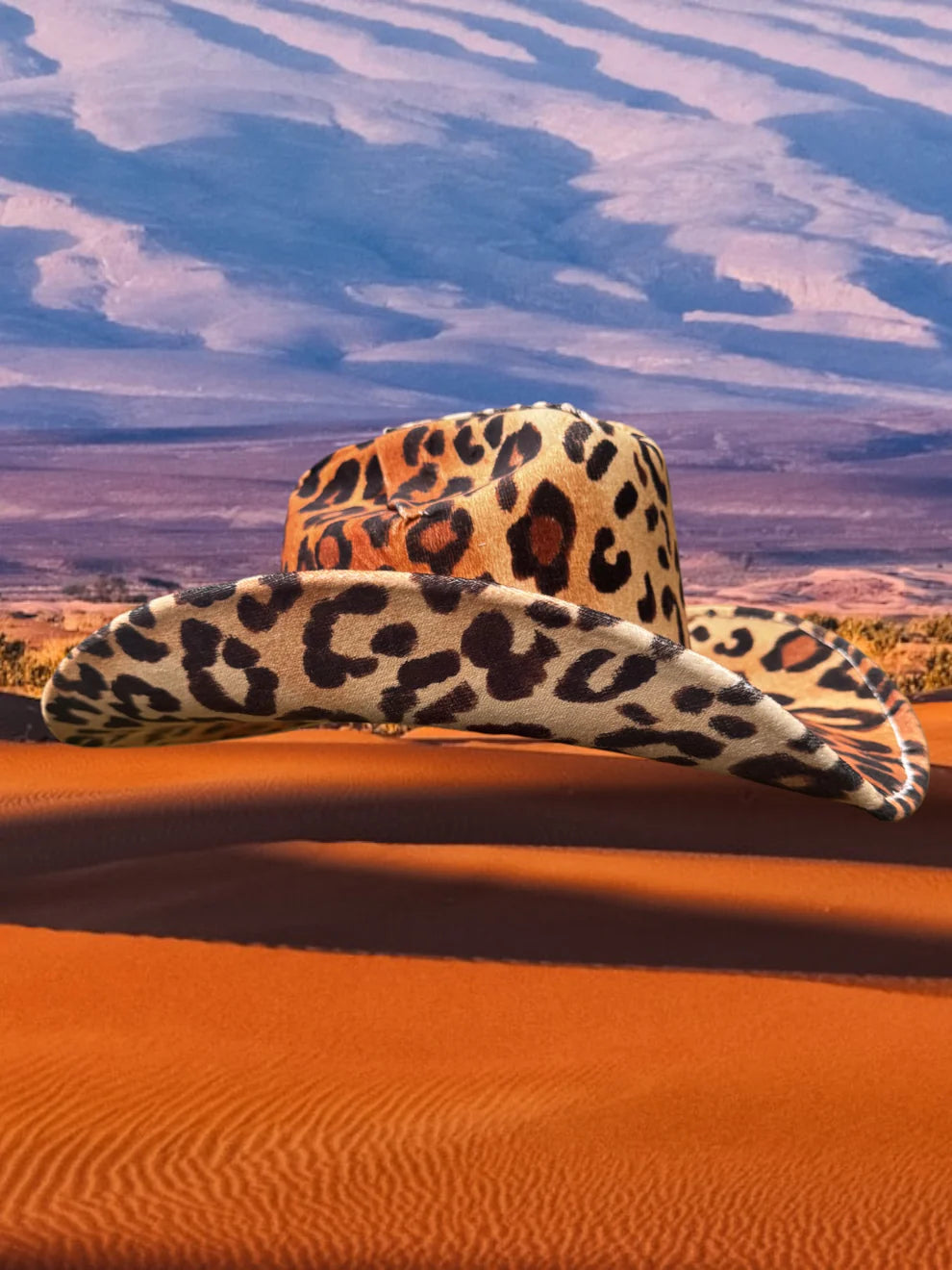 Zandria | Velvet Cheetah Hat