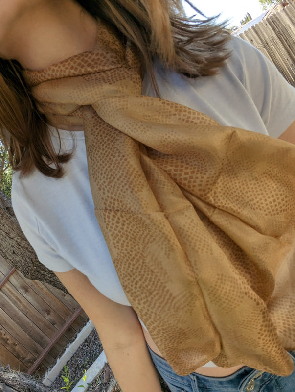 Baschung- Silk Scarves