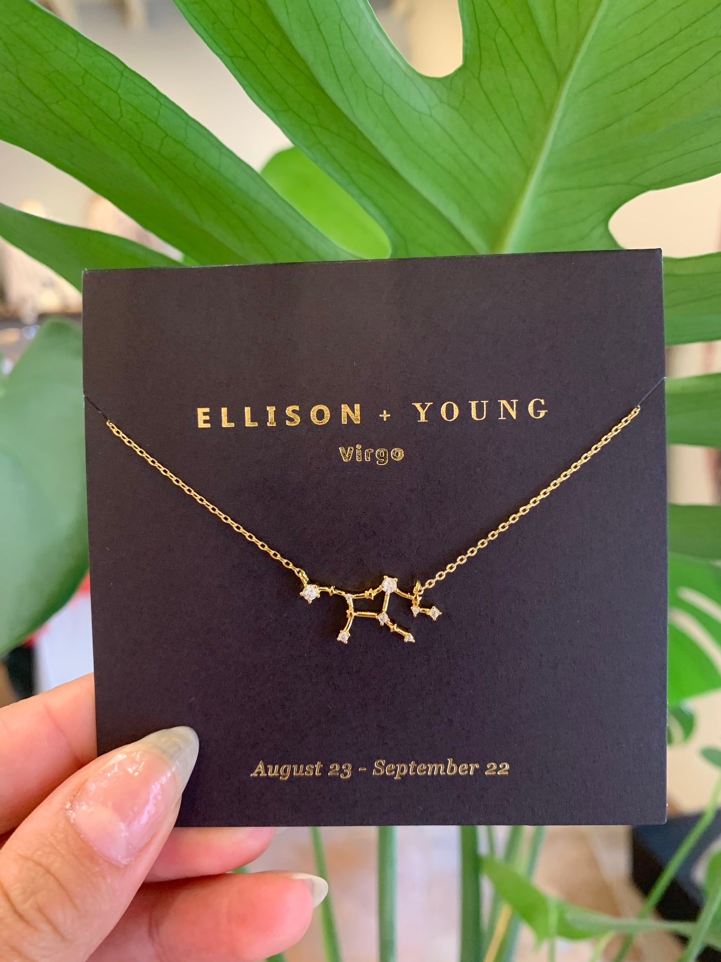 Ellison+Young | Constellation Necklace