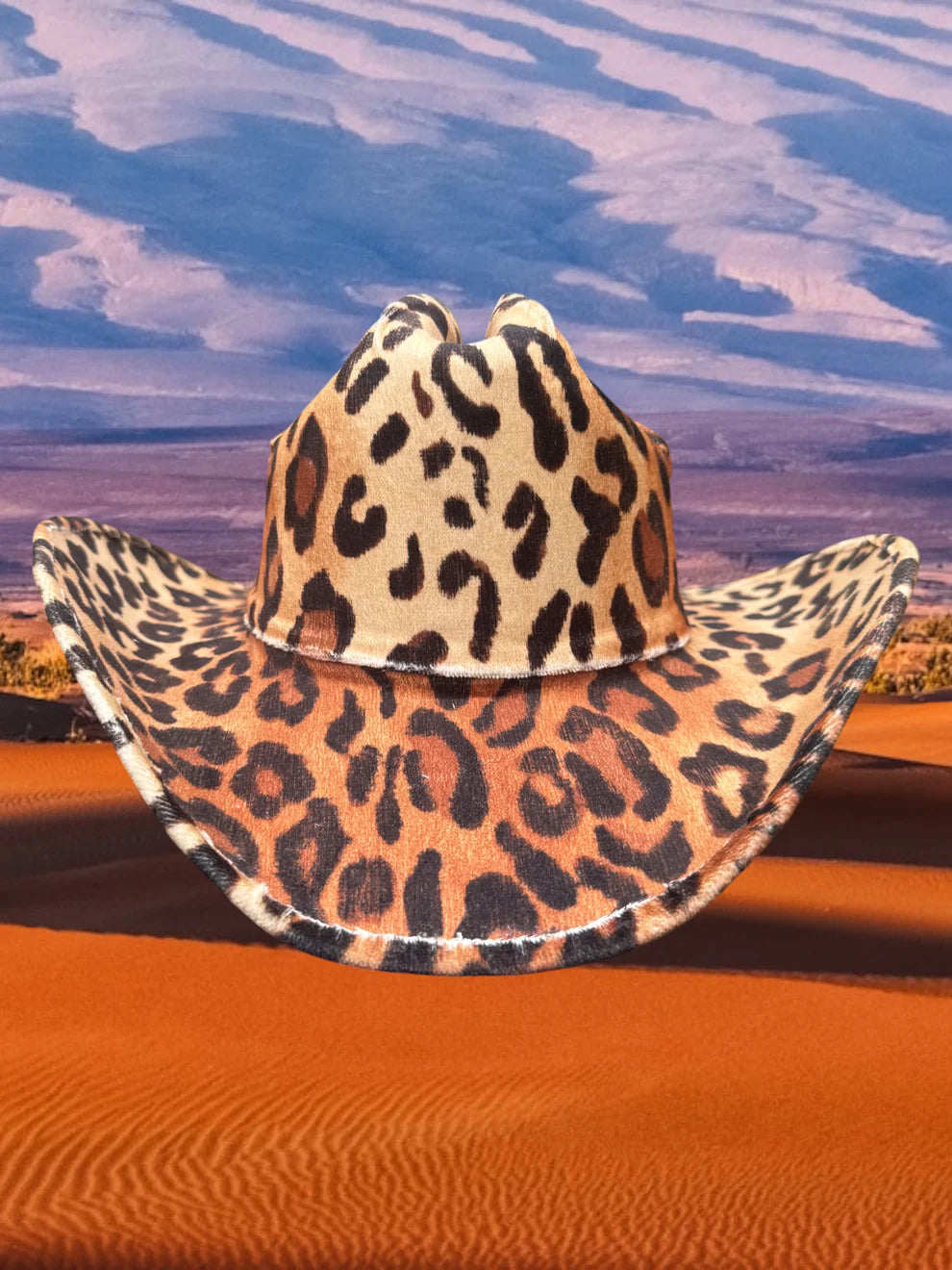 Zandria | Velvet Cheetah Hat