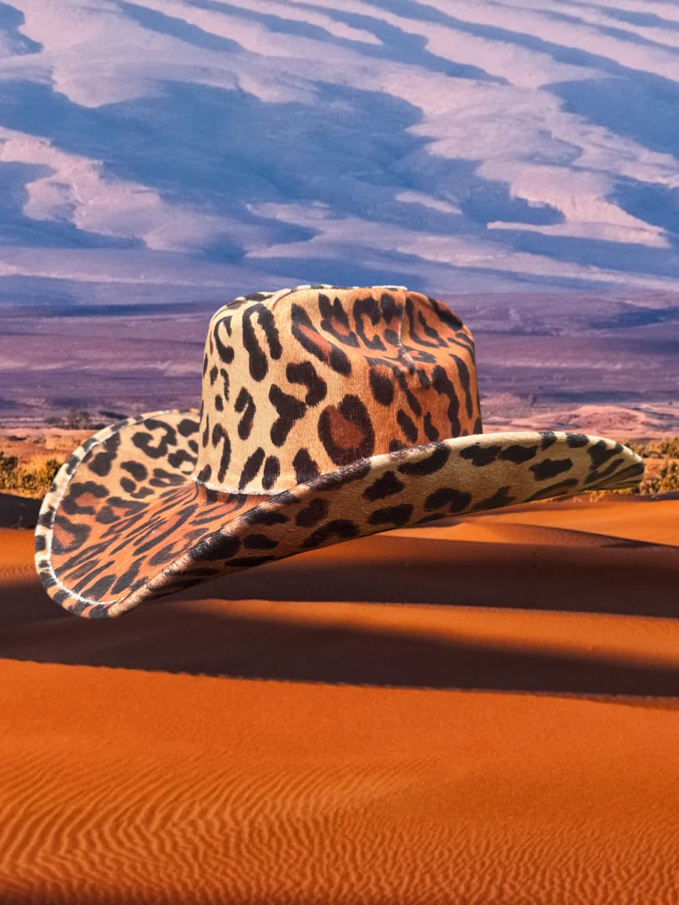Zandria | Velvet Cheetah Hat