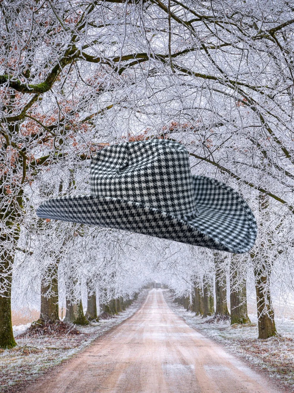 Zandria | Holiday Hound Hat