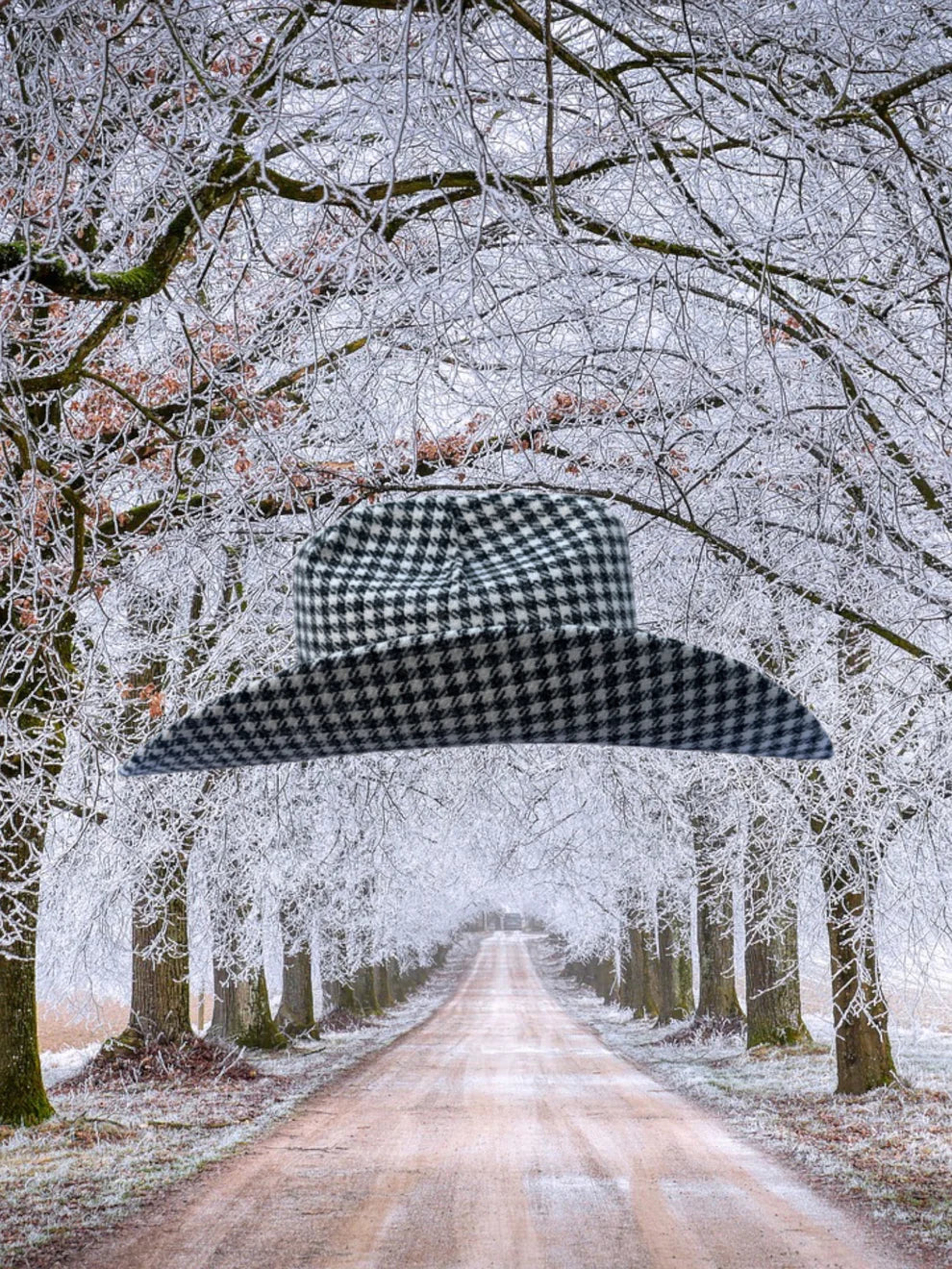 Zandria | Holiday Hound Hat