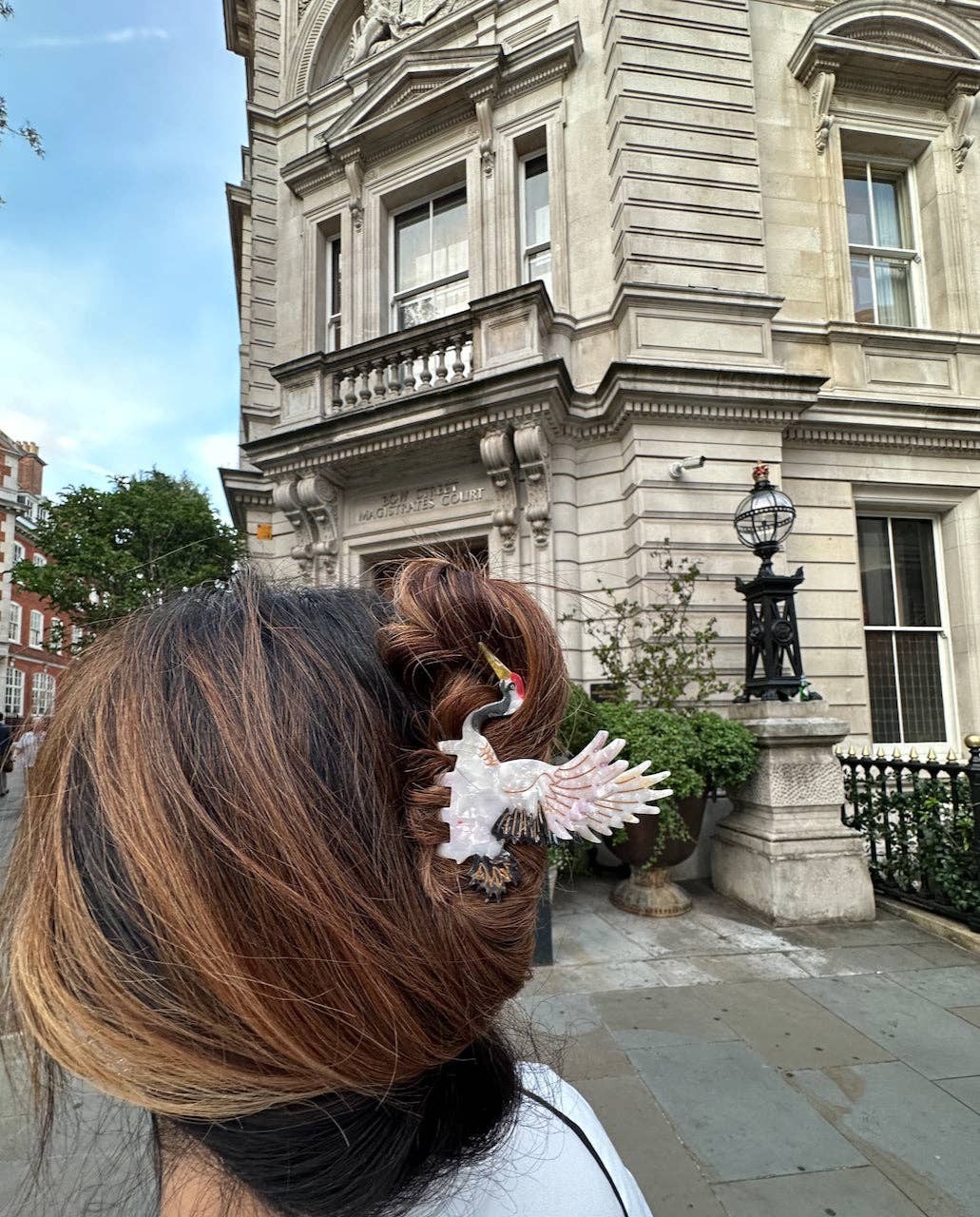 Solar Eclipse | Crane Claw Clip