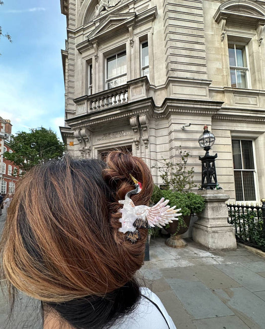 Solar Eclipse | Crane Claw Clip